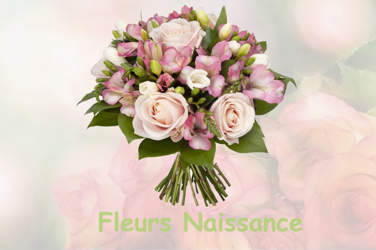 fleurs naissance SAINT-PIERRE-D-AURILLAC